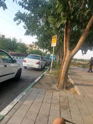 عکس  شهدای تاکسیرانی