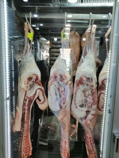 عکس پروتئین آشنا