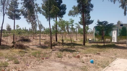 عکس مجتمع اردویی 15 خرداد