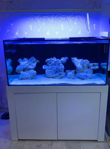 عکس فروشگاه آکواریوم آبشور اکوا ریف