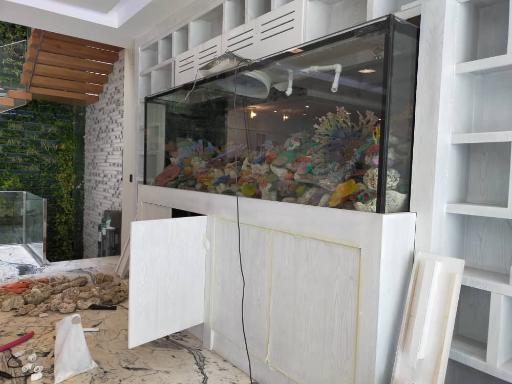 عکس فروشگاه آکواریوم آبشور اکوا ریف
