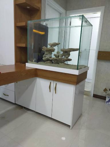 عکس فروشگاه آکواریوم آبشور اکوا ریف