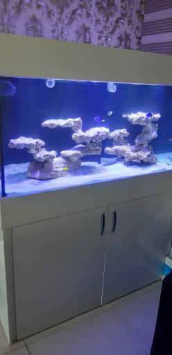 عکس فروشگاه آکواریوم آبشور اکوا ریف