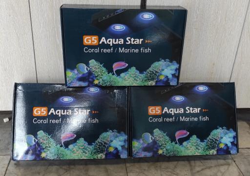 عکس فروشگاه آکواریوم آبشور اکوا ریف