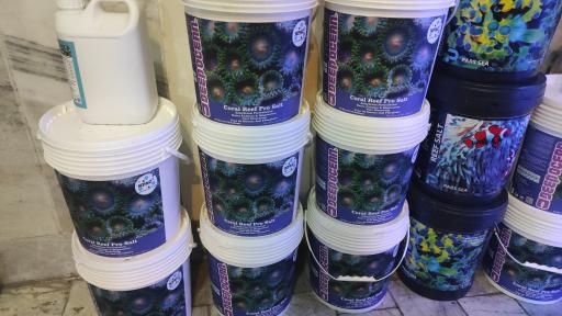 عکس فروشگاه آکواریوم آبشور اکوا ریف