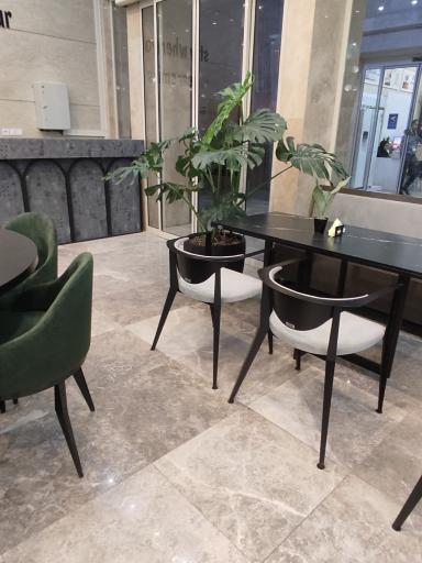 عکس کافی شاپ درخت