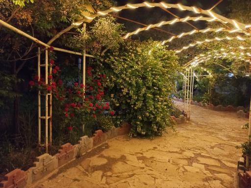 عکس باغ شمس العماره