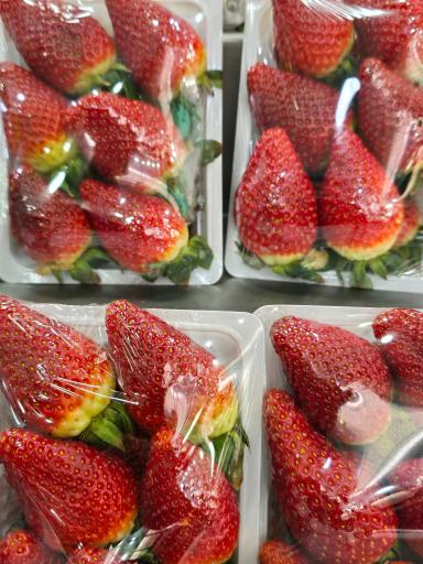 عکس سوپرمیوه نرخ شکن