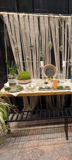 عکس آرش مارکت زیباکنار