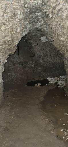 عکس قمش تاریخی مومنون