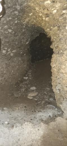 عکس قمش تاریخی مومنون