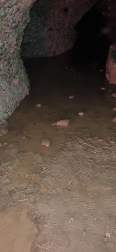 قمش تاریخی مومنون