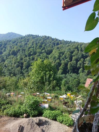 عکس بومگردی خانه خاطرات خانم خوشرو