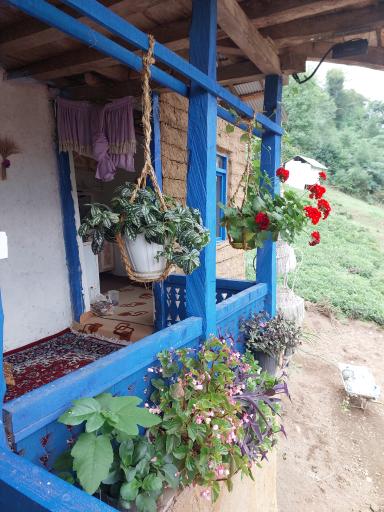 عکس بومگردی خانه خاطرات خانم خوشرو