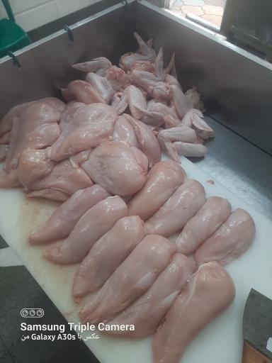 عکس مرغ و ماهی شایان اصغرزاده