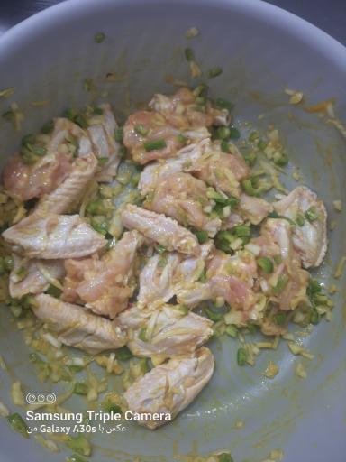 عکس مرغ و ماهی شایان اصغرزاده