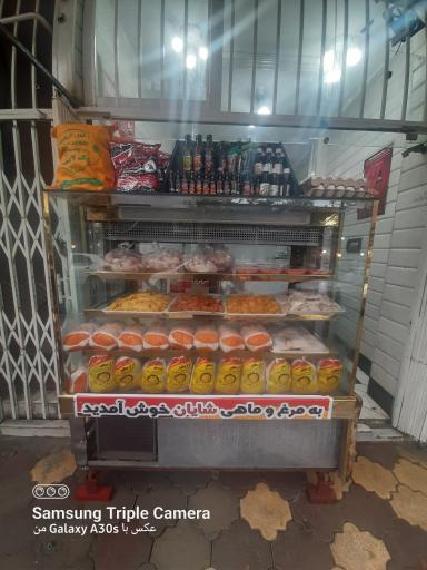 عکس مرغ و ماهی شایان اصغرزاده