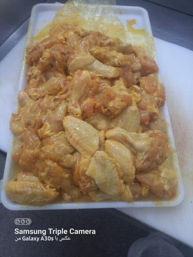 عکس مرغ و ماهی شایان اصغرزاده