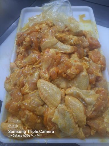 عکس مرغ و ماهی شایان اصغرزاده
