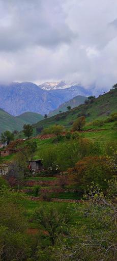 عکس نوسود