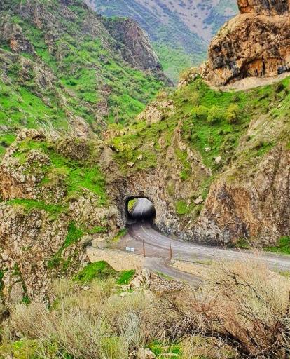 عکس نوسود
