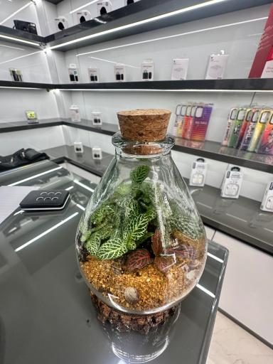 عکس فروشگاه موبایل تی تل