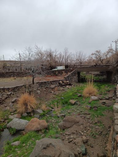 عکس کافه میمندمون