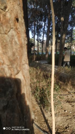 عکس بوستان قائم (عج)