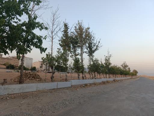 عکس پارکینگ تک ماکارون