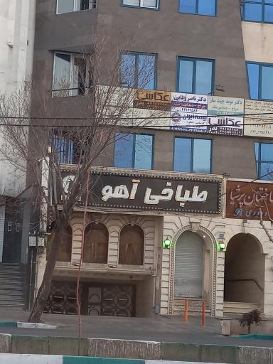 عکس طباخی آهو