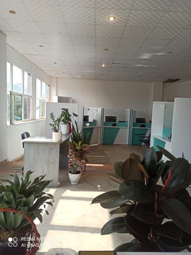 عکس پلیس +۱۰