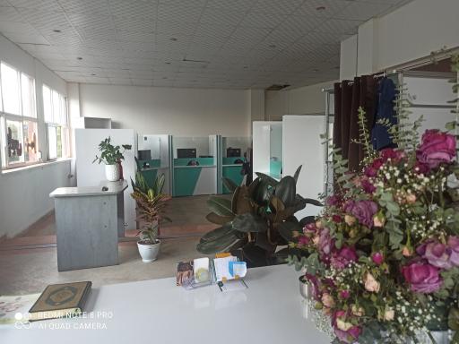 عکس پلیس +۱۰