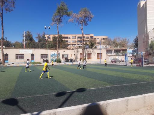 عکس چمن مصنوعی خیام