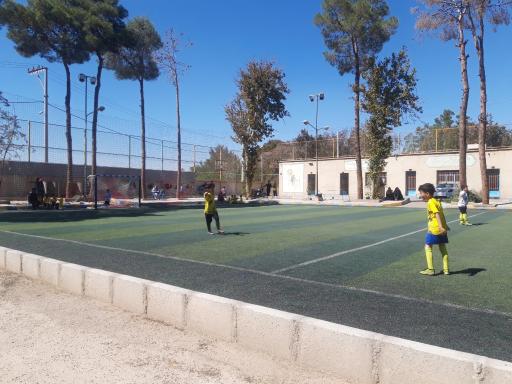 عکس چمن مصنوعی خیام