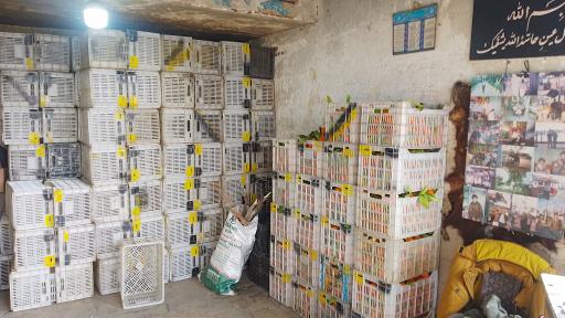 عکس مرکبات مصطفی یگانه 