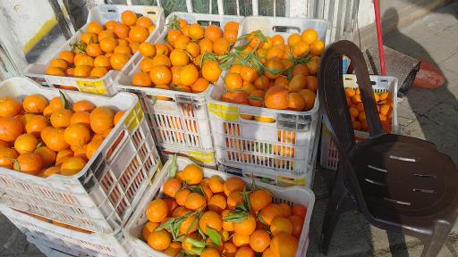 عکس مرکبات مصطفی یگانه 