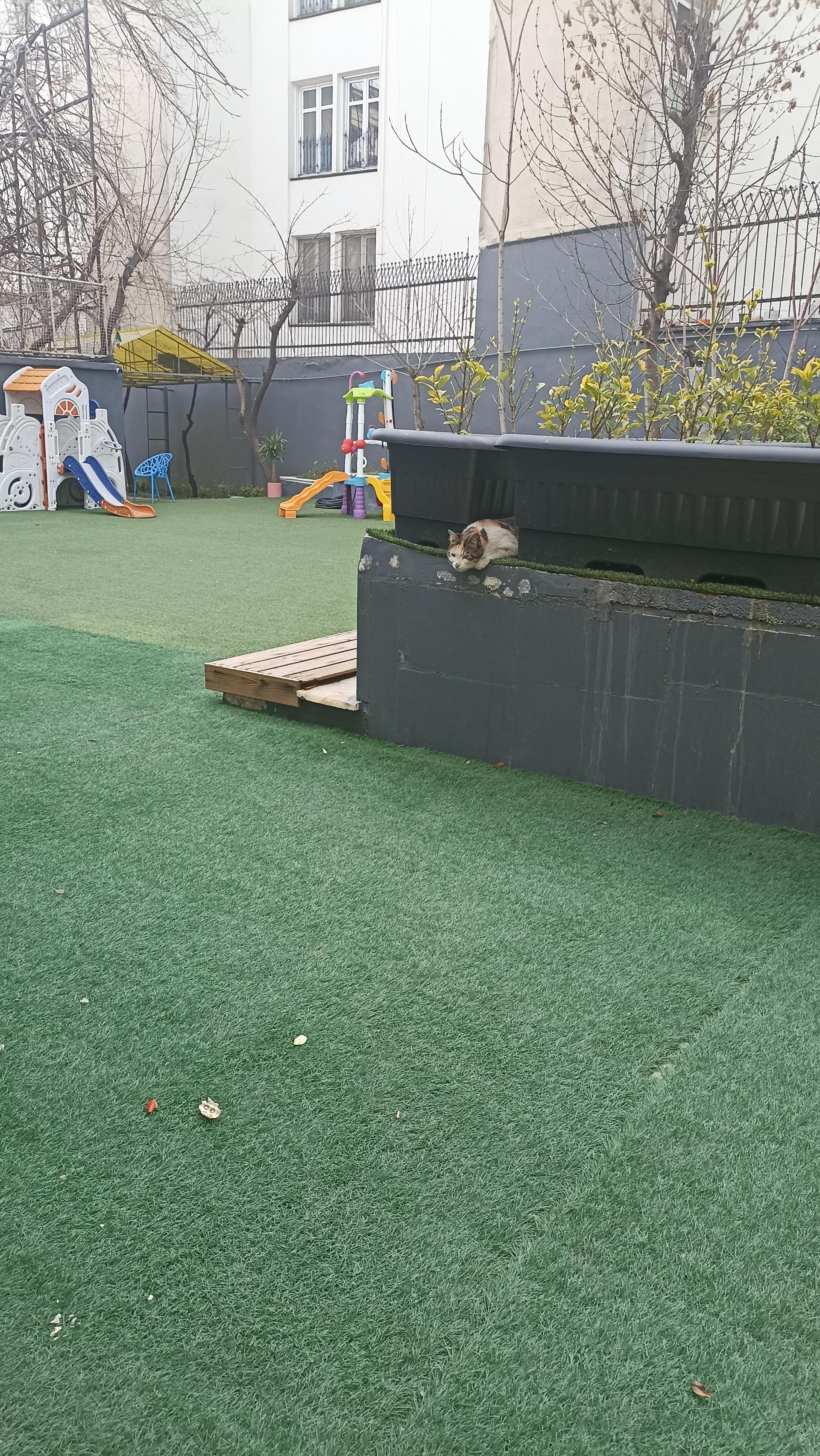 عکس مهد کودک داینو