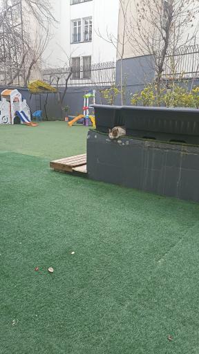 عکس مهد کودک داینو