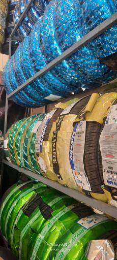 عکس رینگ و لاستیک پدرام