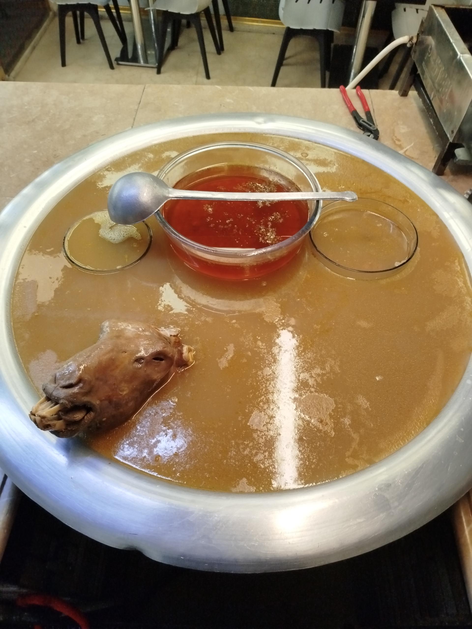 عکس طباخی پوریای ولی