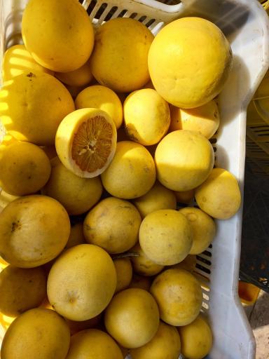 مرکبات مصطفی یگانه 