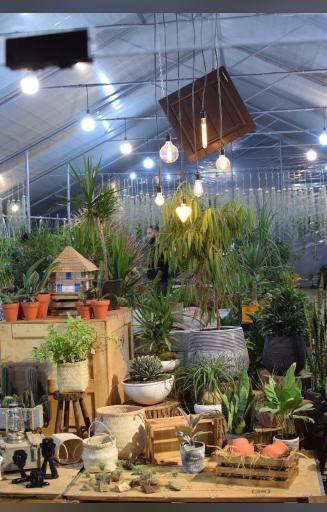 عکس گلخانه پرشین کاکتوس