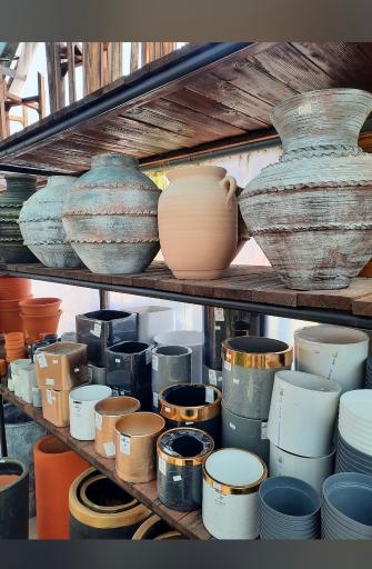 عکس گلخانه پرشین کاکتوس