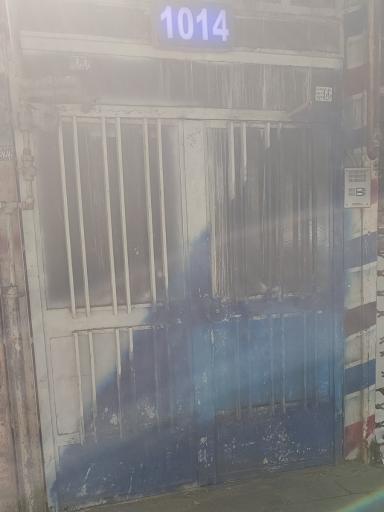 عکس ایمن سازان آرکا