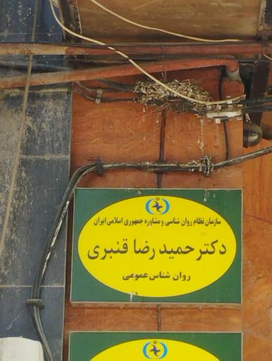 عکس کلینیک مشاوره و روان درمانی دکتر حمیدرضا قنبری 