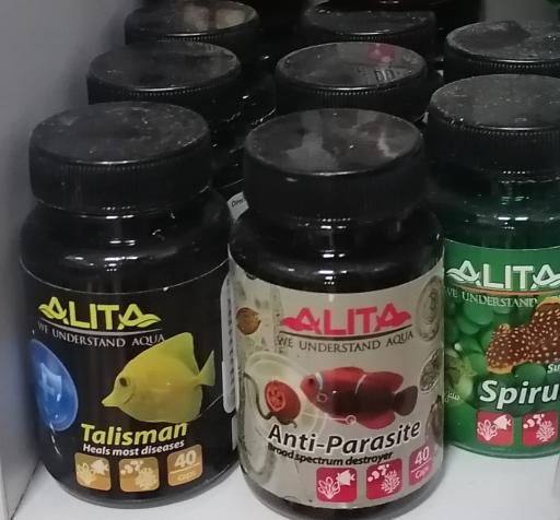 عکس اکواریوم رامیز اکسپو