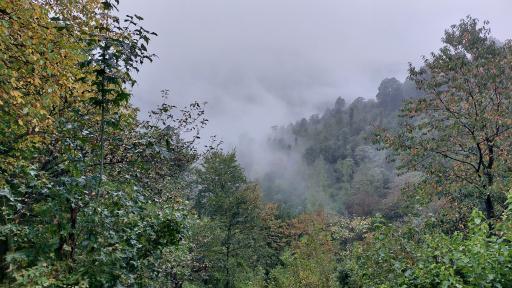 عکس هتل آپارتمان سید