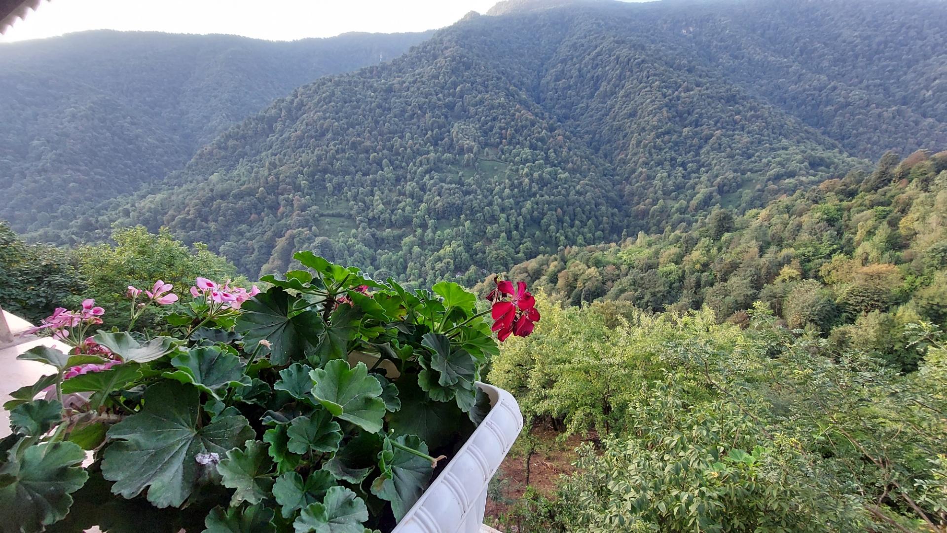 عکس هتل آپارتمان سید