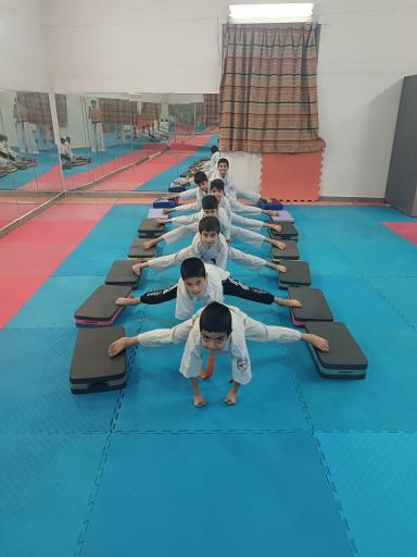 عکس باشگاه رزمی کیوکوشین ایرانیان