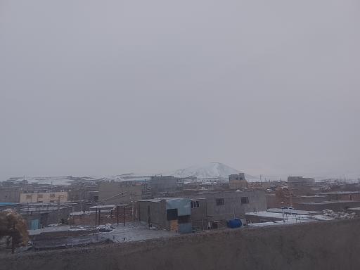 عکس جانقور